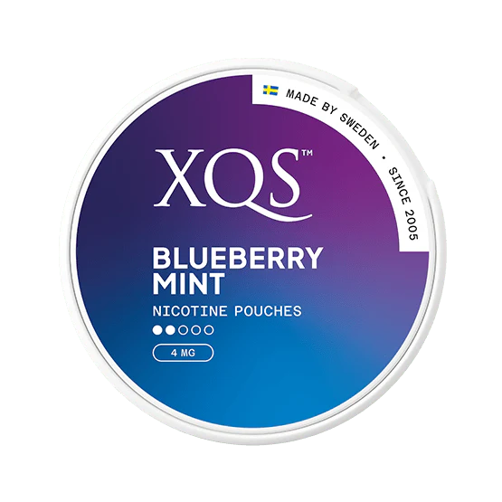 XQS Blueberry Mint | Slim Pouches